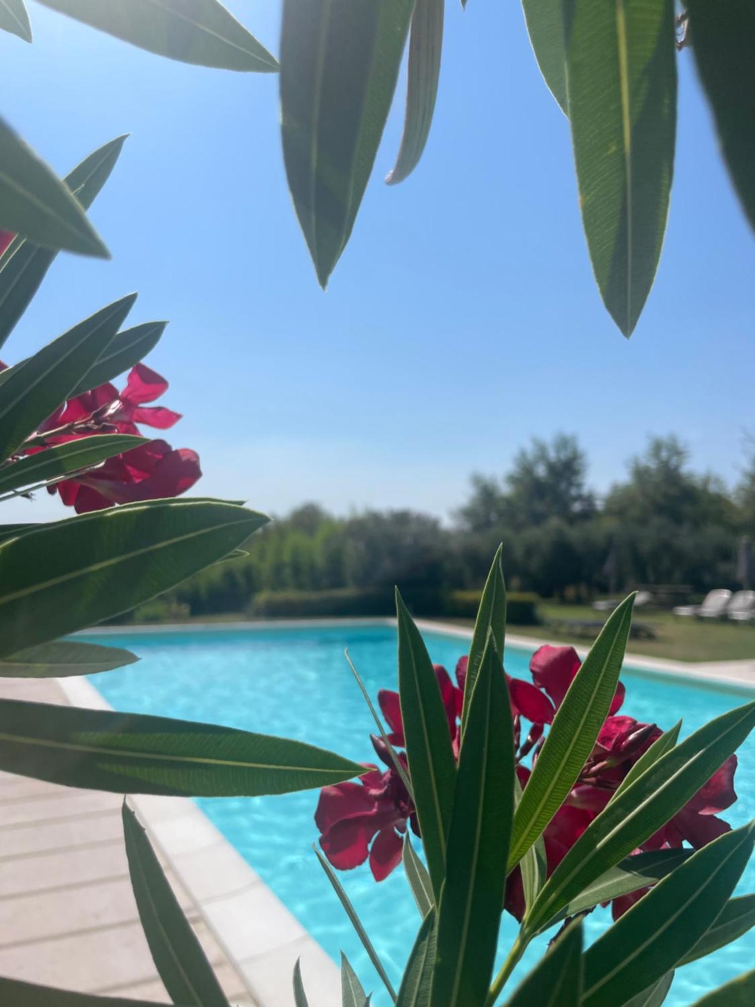 Agriturismo Antica Dimora Del Turco Sona Exterior photo